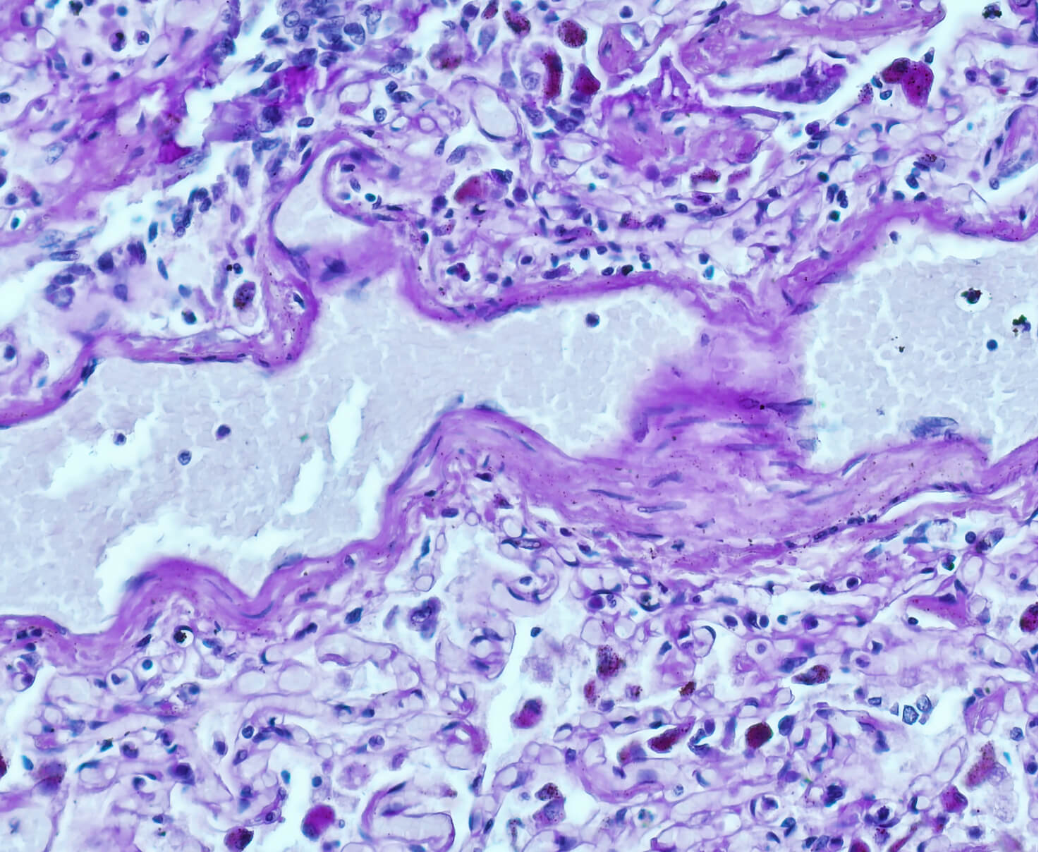 header_cell_based_assay@2x