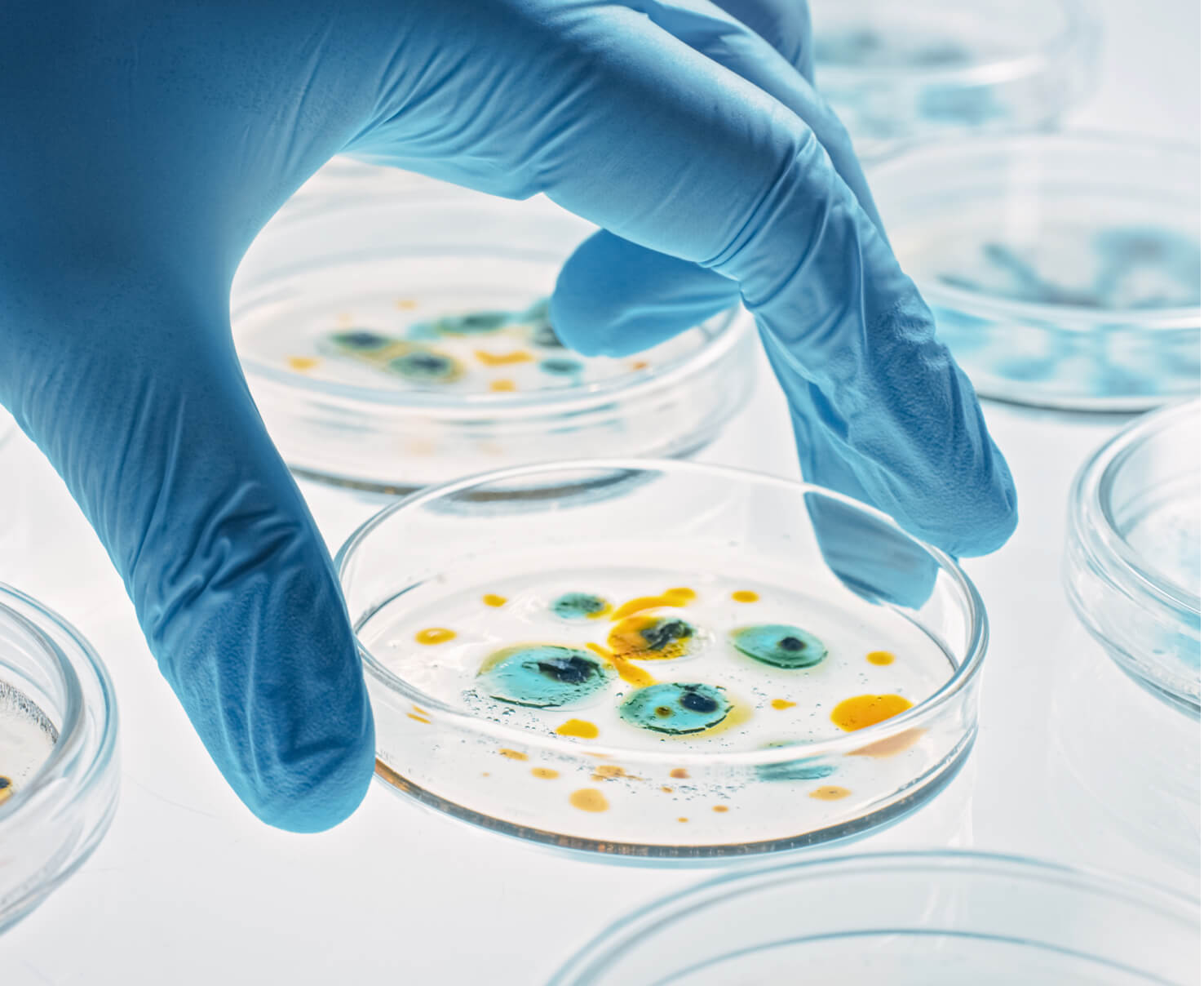 Image of equipment used in microbial fermentation development processes by Scorpion 